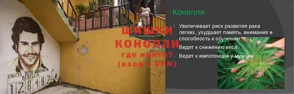 амф Богородицк